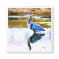 Blue Heron magnets by Aslan1 Blue Heron magnets