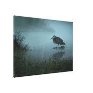 Blue Heron Morning Canvas Print wrappedcanvas