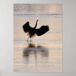 Blue Heron on Winter Pond Poster