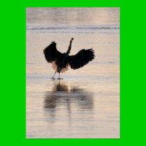 Blue Heron on Winter Pond posters