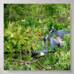 Blue Heron Paradise Poster