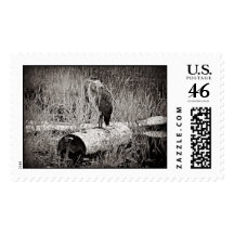 Blue Heron Photograph - Black and White Stamps