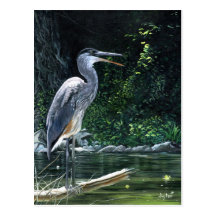 "Blue Heron" Postcard