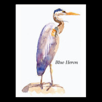 Blue Heron postcard postcards
