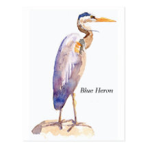 Blue Heron postcard