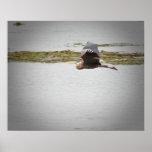 Blue Heron Poster