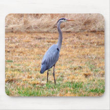 Blue Heron reflection Mouse Pads