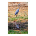Blue Heron Reflection posters