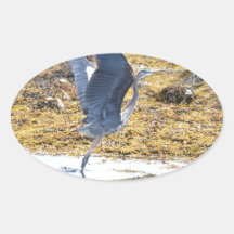 Blue Heron Stickers