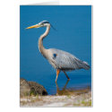 Blue Heron Wading Card