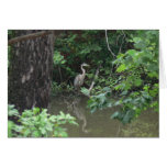 Blue Heron with Reflection on Water Cards