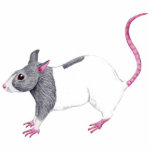 blue hooded rat sculpture cut out