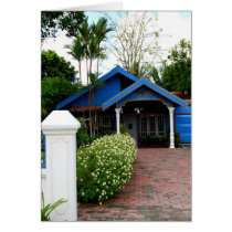 Blue House cards