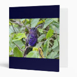 Blue Hummingbird Photo 3 Ring Binder