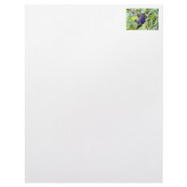 Blue Hummingbird Photo Letterhead Template