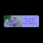 Blue Hyacinth Address Label labels
