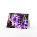 Blue Hyacinth I Card