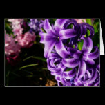 Blue Hyacinth II Card