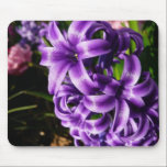 Blue Hyacinth II Mousepad