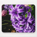 Blue Hyacinth II Mousepad
