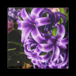Blue Hyacinth Magnet