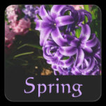 Blue Hyacinth Spring Sticker