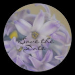 Blue Hyacinth Sticker stickers