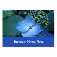 blue  hydrangea business card templates