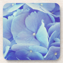 Blue Hydrangea Drink Coaster