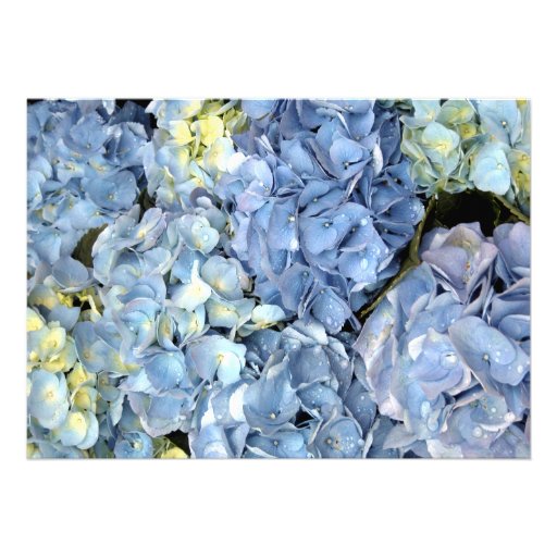 Blue Hydrangea Engagement Party Invitation