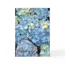 Blue Hydrangea Flower Greeting Card