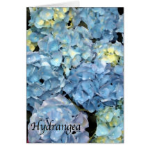 Blue Hydrangea Flower Greeting Card