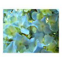 Blue Hydrangea Flower III Canvas Print by Itayasdesigns Blue Hydrangea Flower III Canvas Print