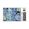 Blue Hydrangea Flower Postage Stamp