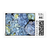 Blue Hydrangea Flower Postage Stamp by loraseverson Blue Hydrangea Flower Postage Stamp