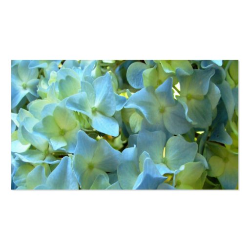 Blue Hydrangea Flowers Business Profile Cards Business Cards (front side)