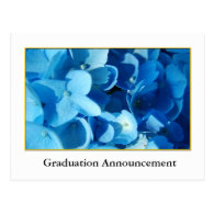 Blue hydrangea flowers  graduation announcement postcards