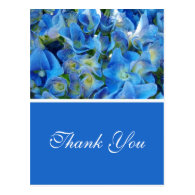 blue hydrangea flowers thank you postcard
