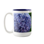 Blue Hydrangea Blue Hydrangea