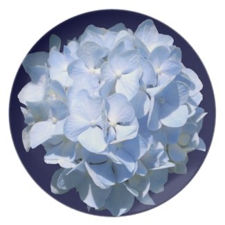 Blue Hydrangea