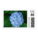 Blue Hydrangea postage by titanic Blue Hydrangea postage
