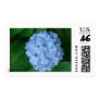 Blue Hydrangea Postage