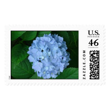 Blue Hydrangea Postage