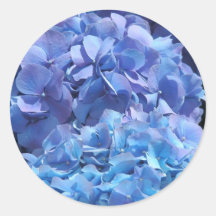 Blue Hydrangea Round Sticker