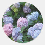 Blue Hydrangea Round Sticker