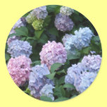 Blue Hydrangea stickers