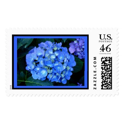 Blue Hydrangea Stamp