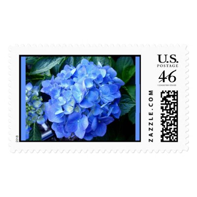 Blue Hydrangea Stamp