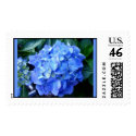 Blue Hydrangea Stamp by Lesleysloft Blue Hydrangea Stamp
