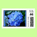 Blue Hydrangea Stamp